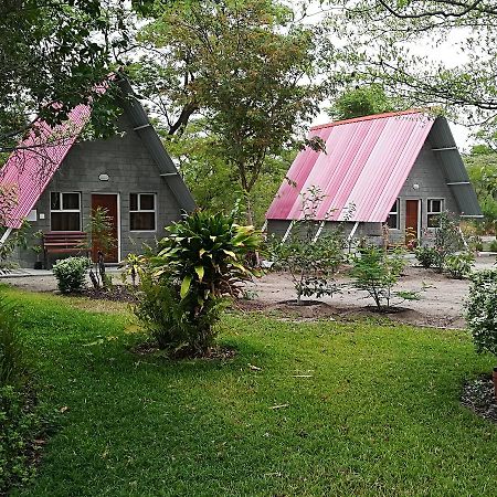 Happy Forest B&B Катима Мулило Екстериор снимка